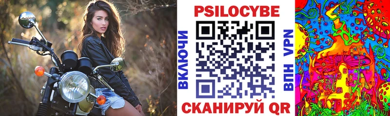 Псилоцибиновые грибы Psilocybine cubensis  Нижний Новгород 